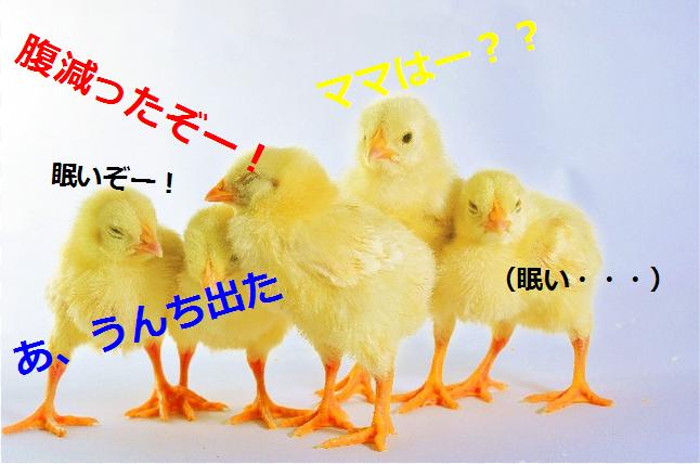 無題20