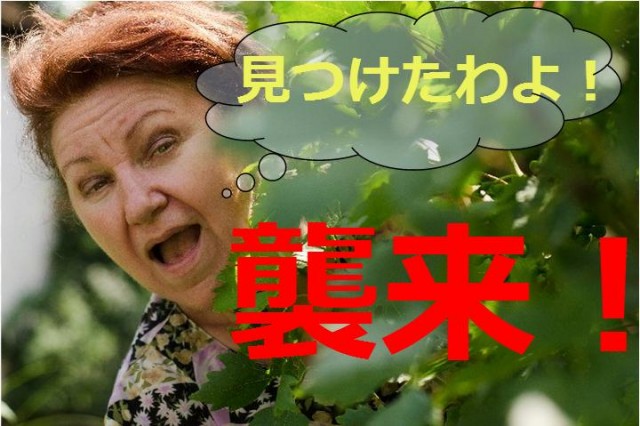 無題