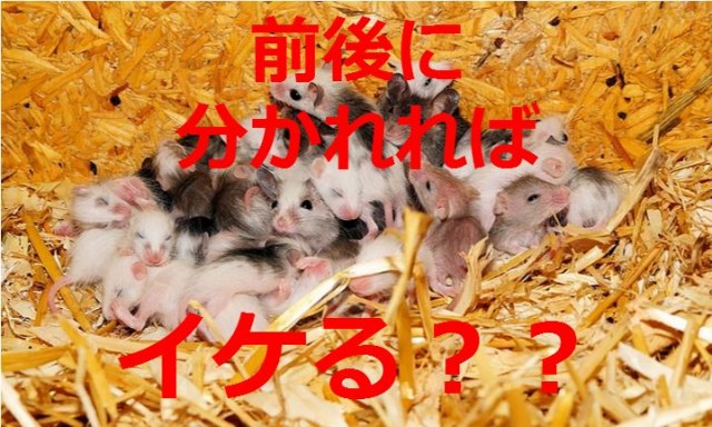 無題