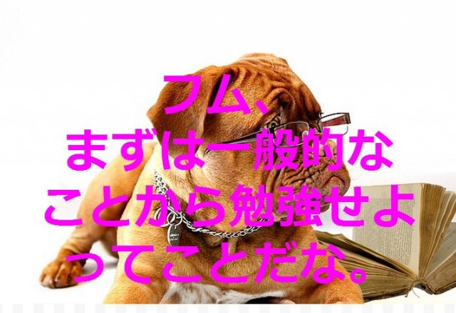 dog-734689_640