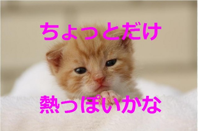 無題