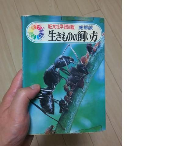 無題図形描画 (3)