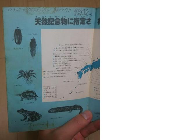 無題図形描画 (4)