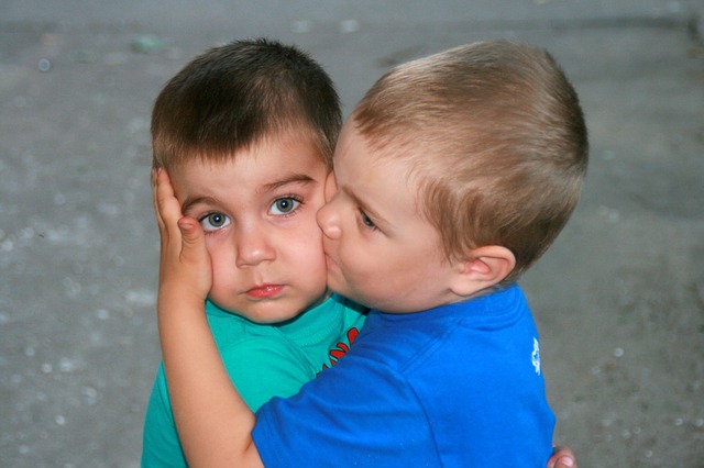 brothers-835175_640