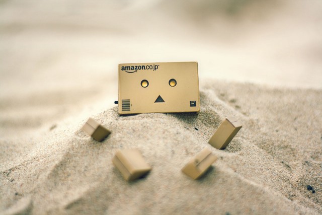 1280px-Danbo_en_la_playa_(8150190721)