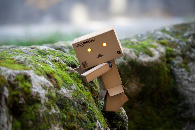 Danbo_(2)