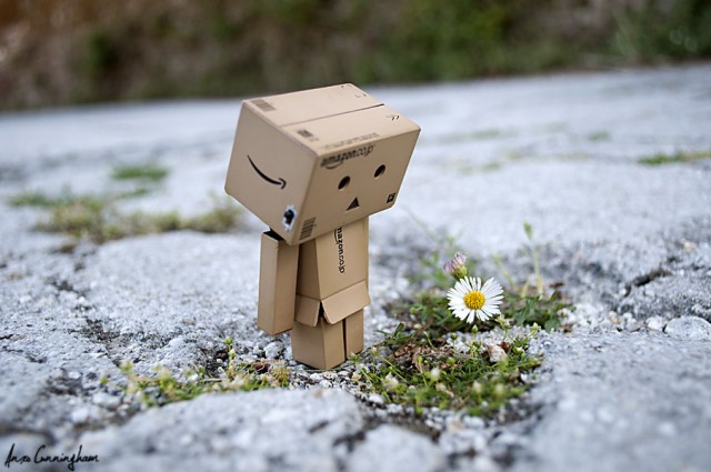 Danbo_likes_flowers