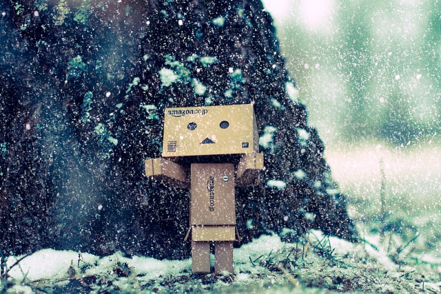 Danbo's_first_snow
