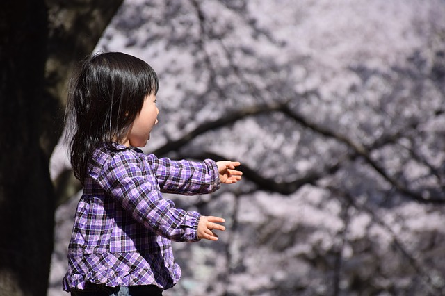 cherry-815630_640